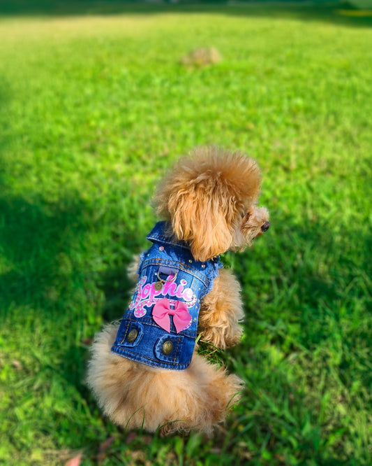 Abbigliamento per Barbone Toy e Nano: praticità, stile e comfort per un riccio perfetto