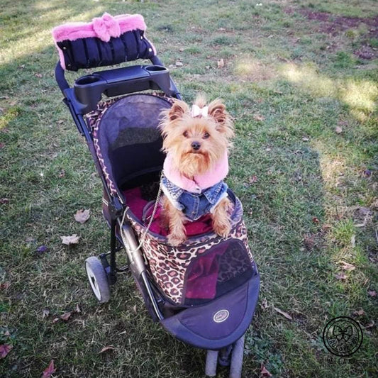Scaldamani - Calore e Comfort per le Tue Passeggiate Invernali