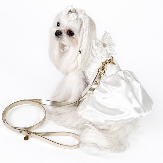 Abito Aurora Bauloveyou in organza e raso per cani piccoli elegante