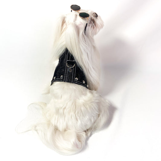 Pettorina brassiere Iron nera in denim per cani piccoli