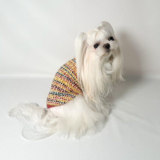 Maglioncino Agave - Colori Caldi e Comfort per il Tuo Cane