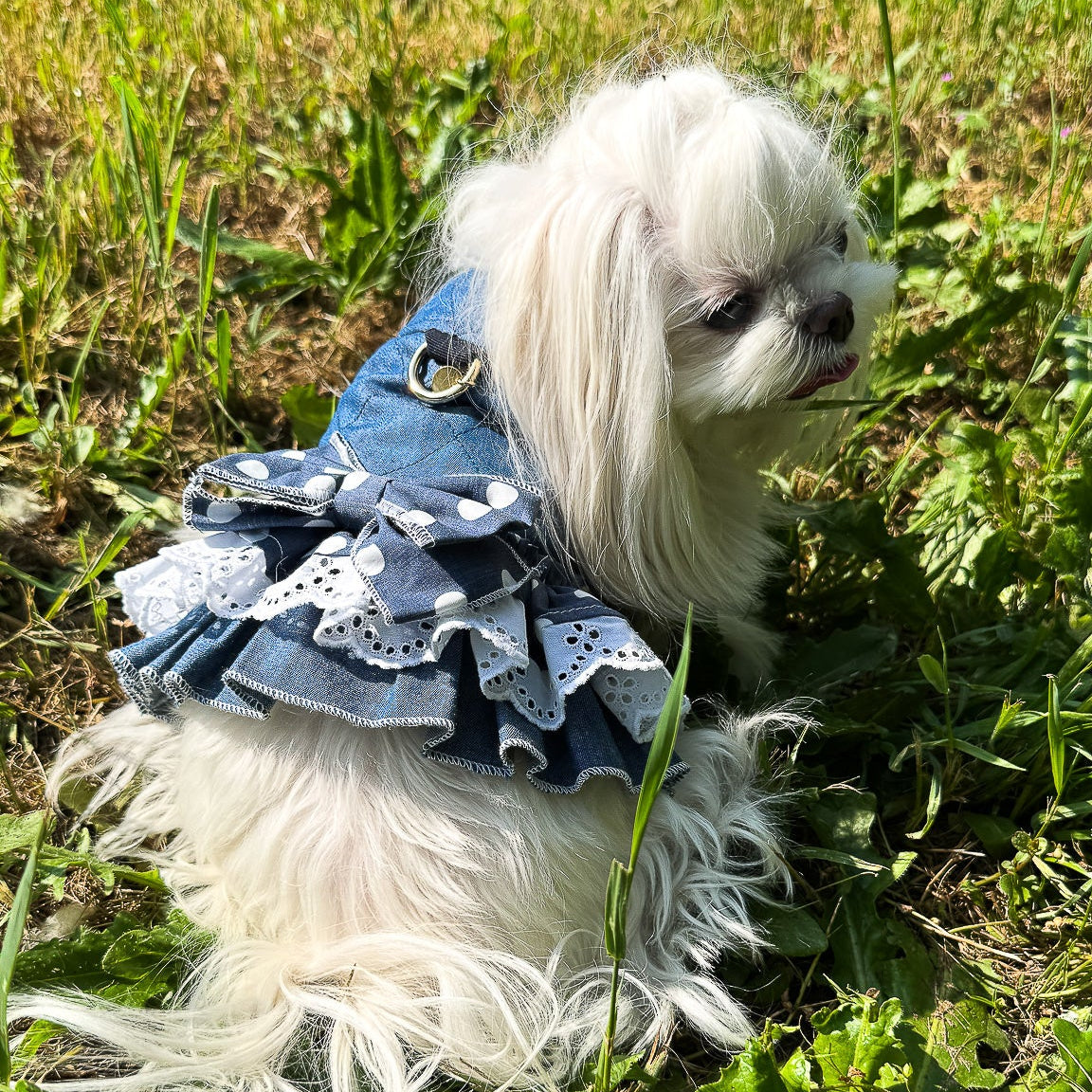 Pettorina Abito COLETTE