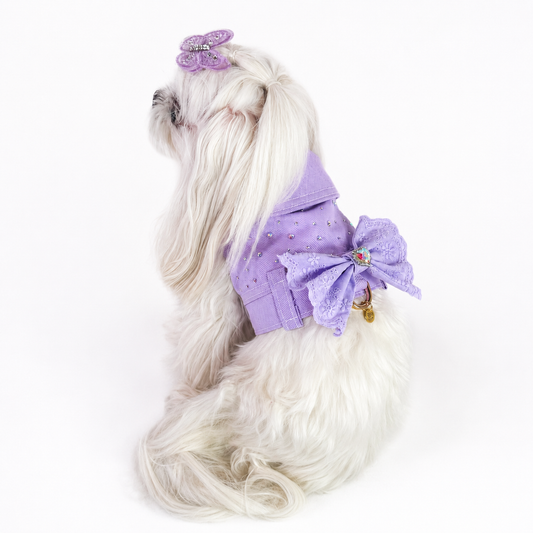 Mini BauJeans Bijoux lilla indossata da maltese, pettorina in denim per cani piccoli