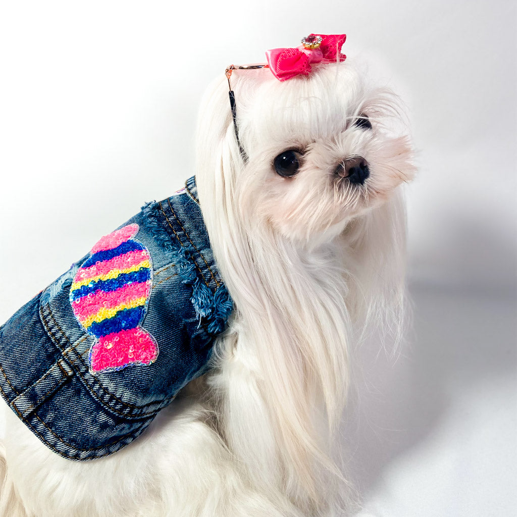 Maltese con fiocco rosa indossa il BauJeans Lollipop, caramella sulla schiena