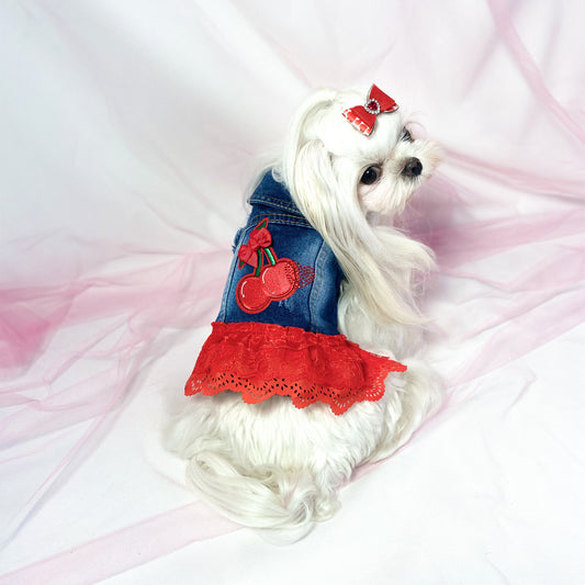 Maltese bianco con fiocco rosso indossa il BauJeans Summer con rouche rossa, gilet in denim per cani piccoli con ciliegia ricamata