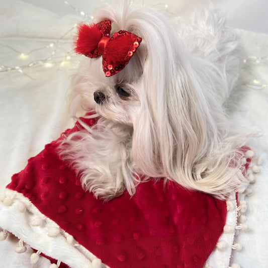 Maltese con fiocco rosso sulla Copertina Magic rossa con bordo di ponpon latte