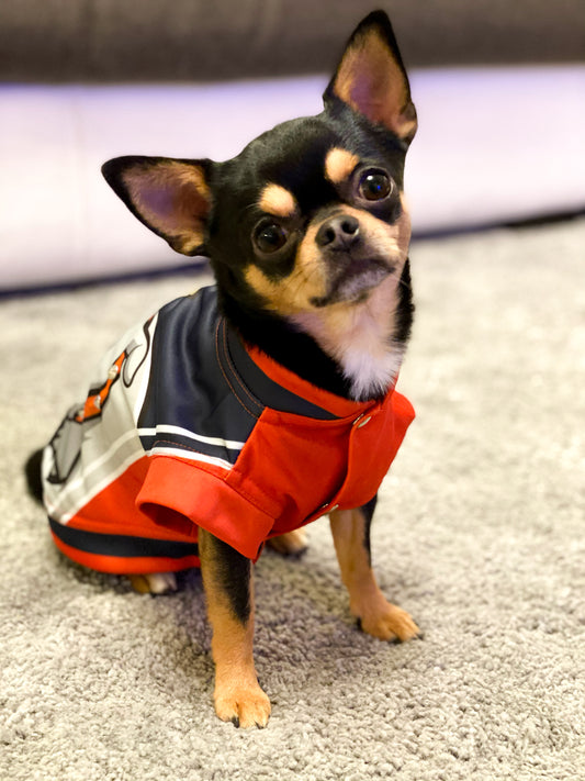 Felpa BOSS per cani, morbida e garzata, con stampa bulldog e borchie argentate. Comoda e perfetta per le passeggiate.