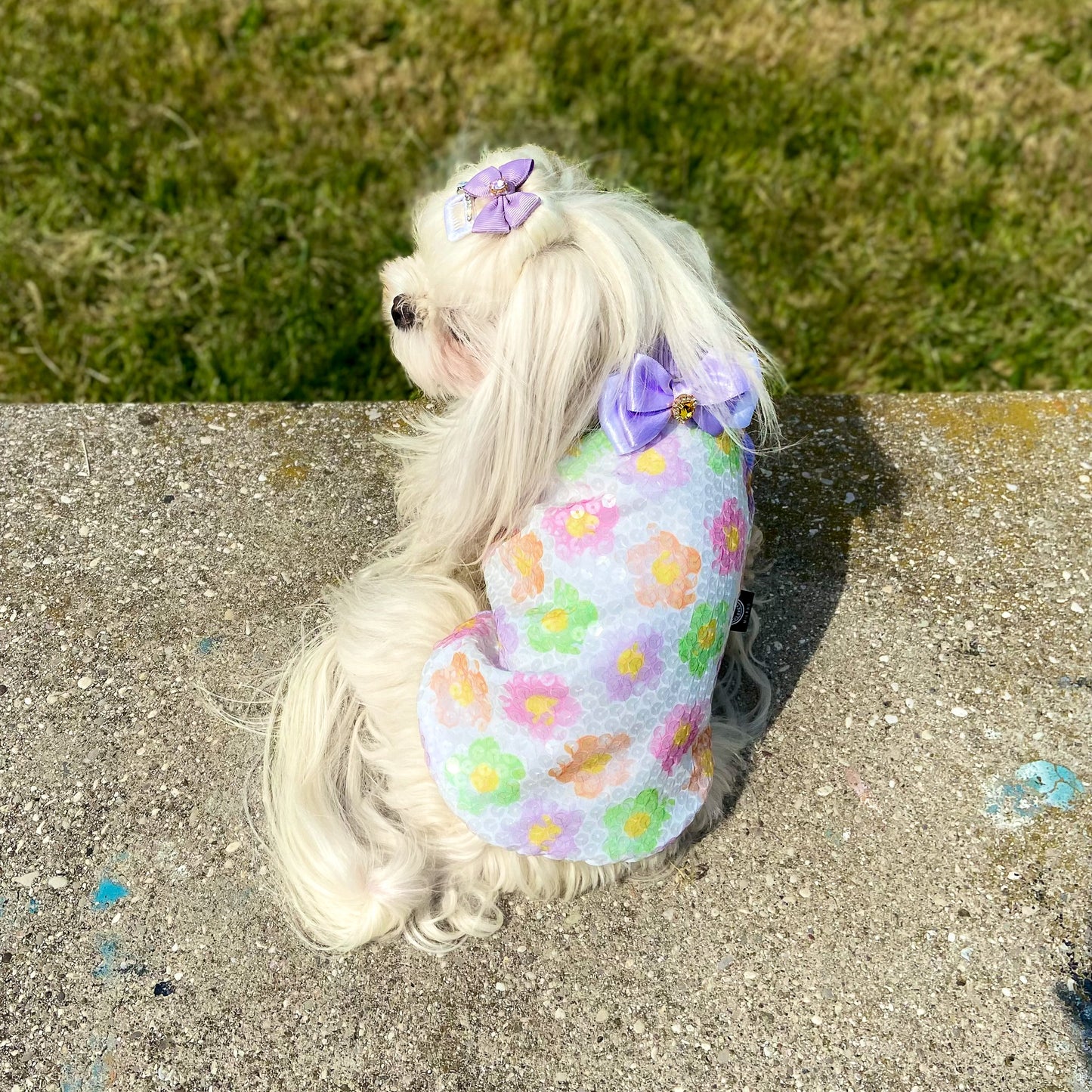Tshirt DAISY