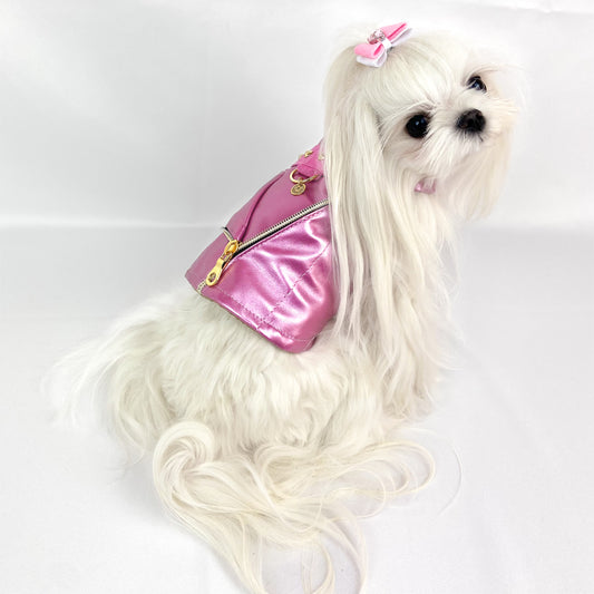 Maltese con il Baukiodino Pinky e un fiocco rosa
