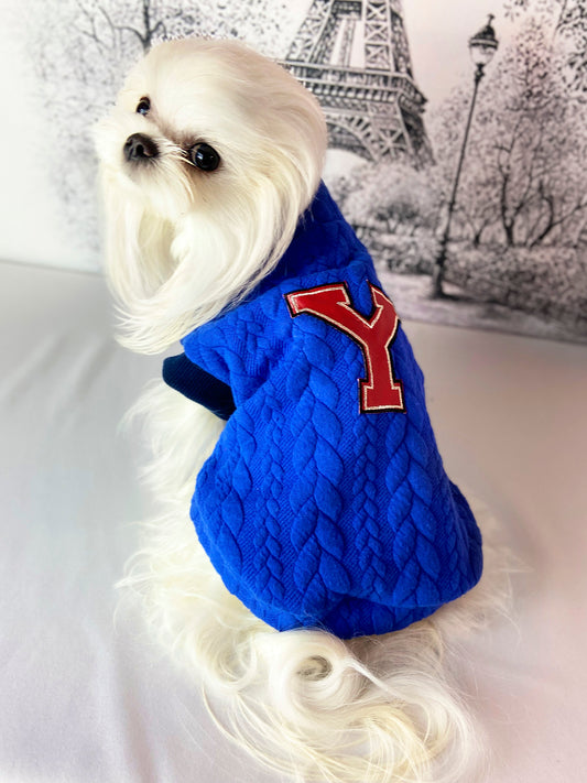 Maltese con la Felpa Merak blu e la Y rossa sul dorso