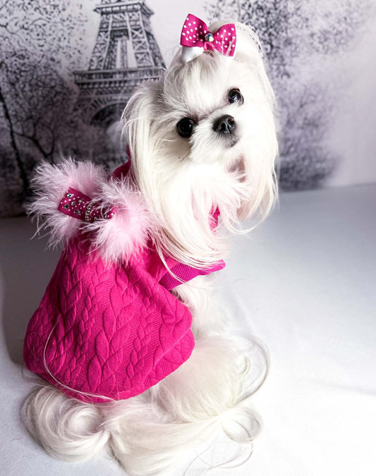 Maltese con la Felpa Miram fucsia e il fiocco con piume rosa