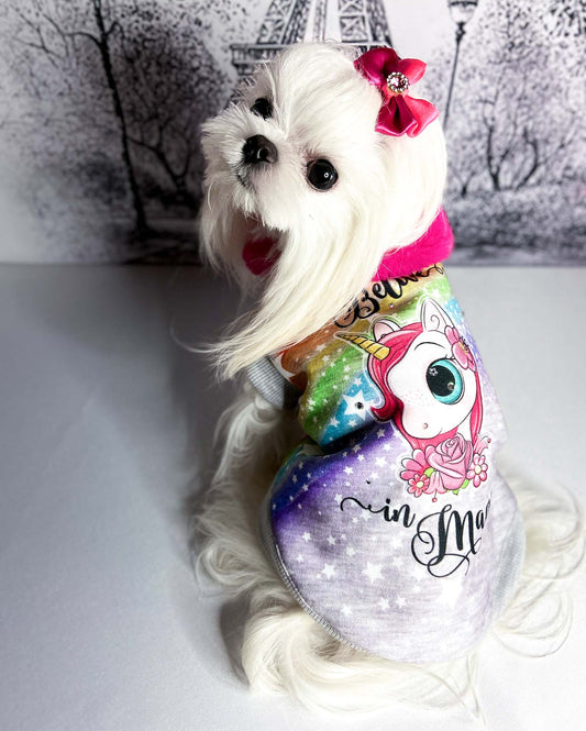 Maltese con la Felpa Unicorno, stampa arcobaleno e collo fucsia