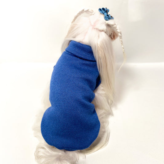 Maltese con il Maglioncino Berberis blu