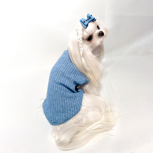 Maltese con il Maglioncino Gioia blu