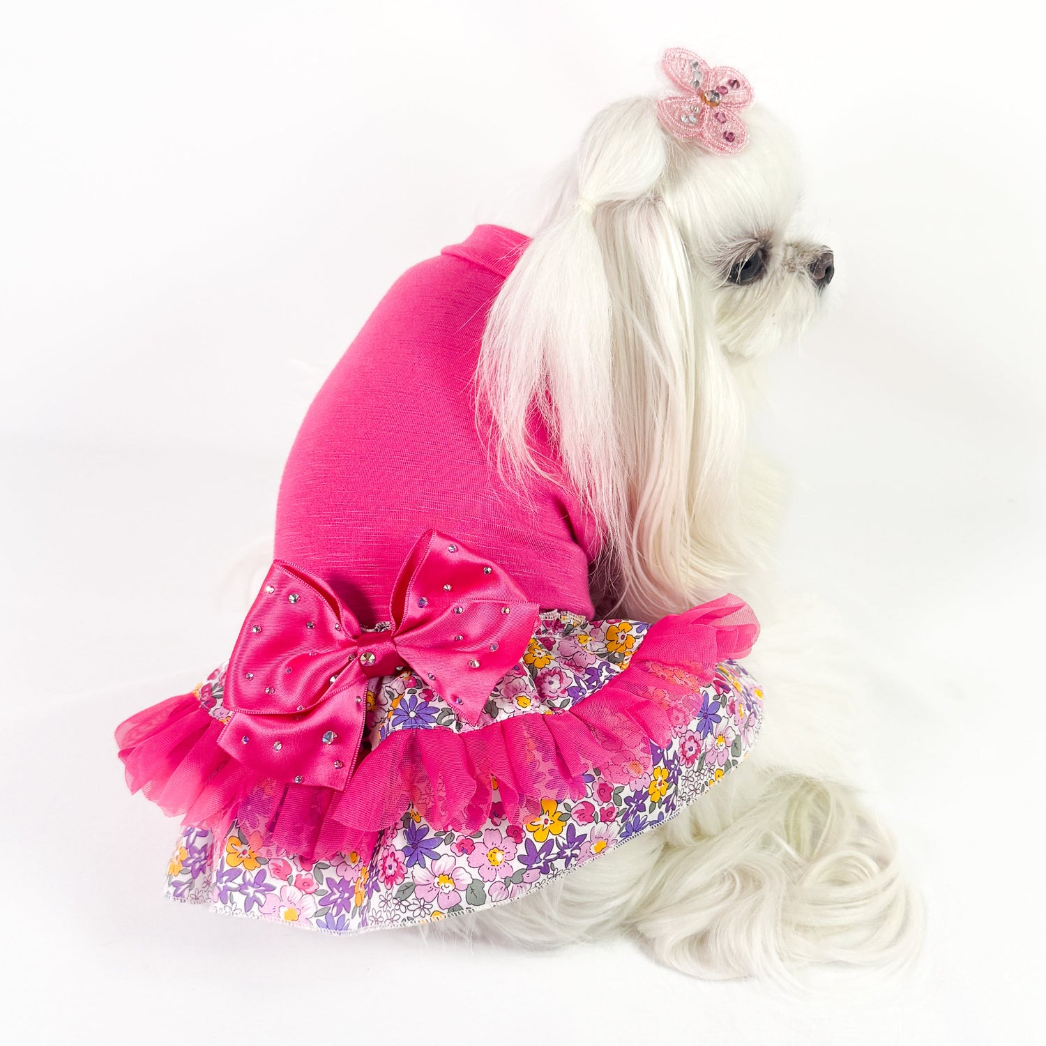 NOVITA' SS26