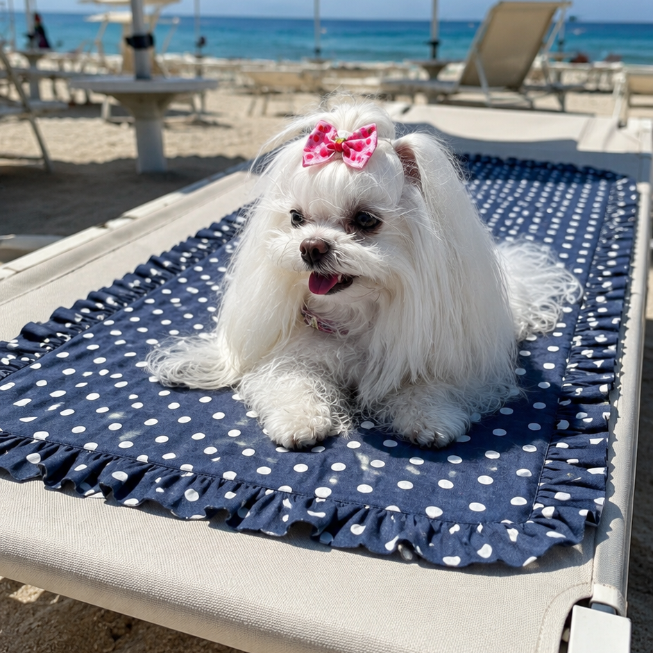 Maltese sdraiata sul Travel Mat blu a pois steso su un lettino da spiaggia