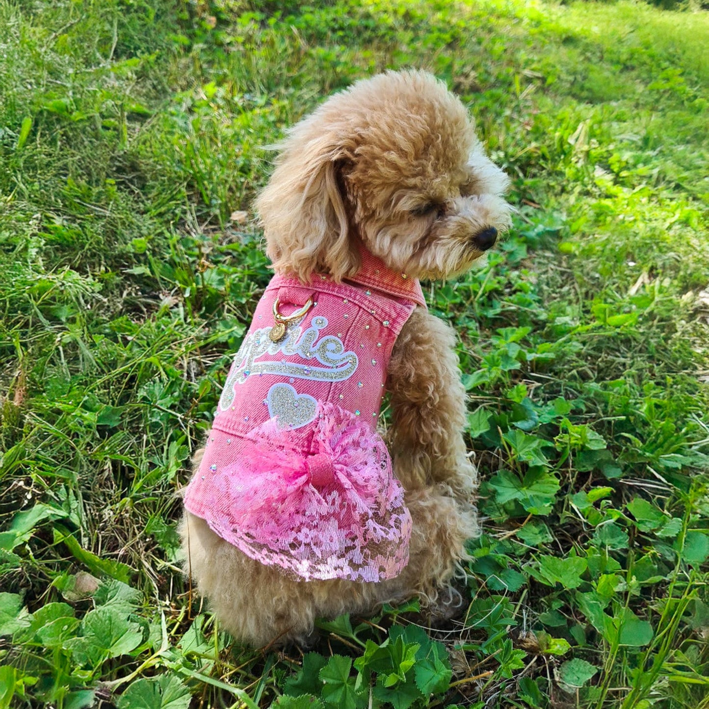 Gilet di jeans rosa con nome e fiocco in pizzo