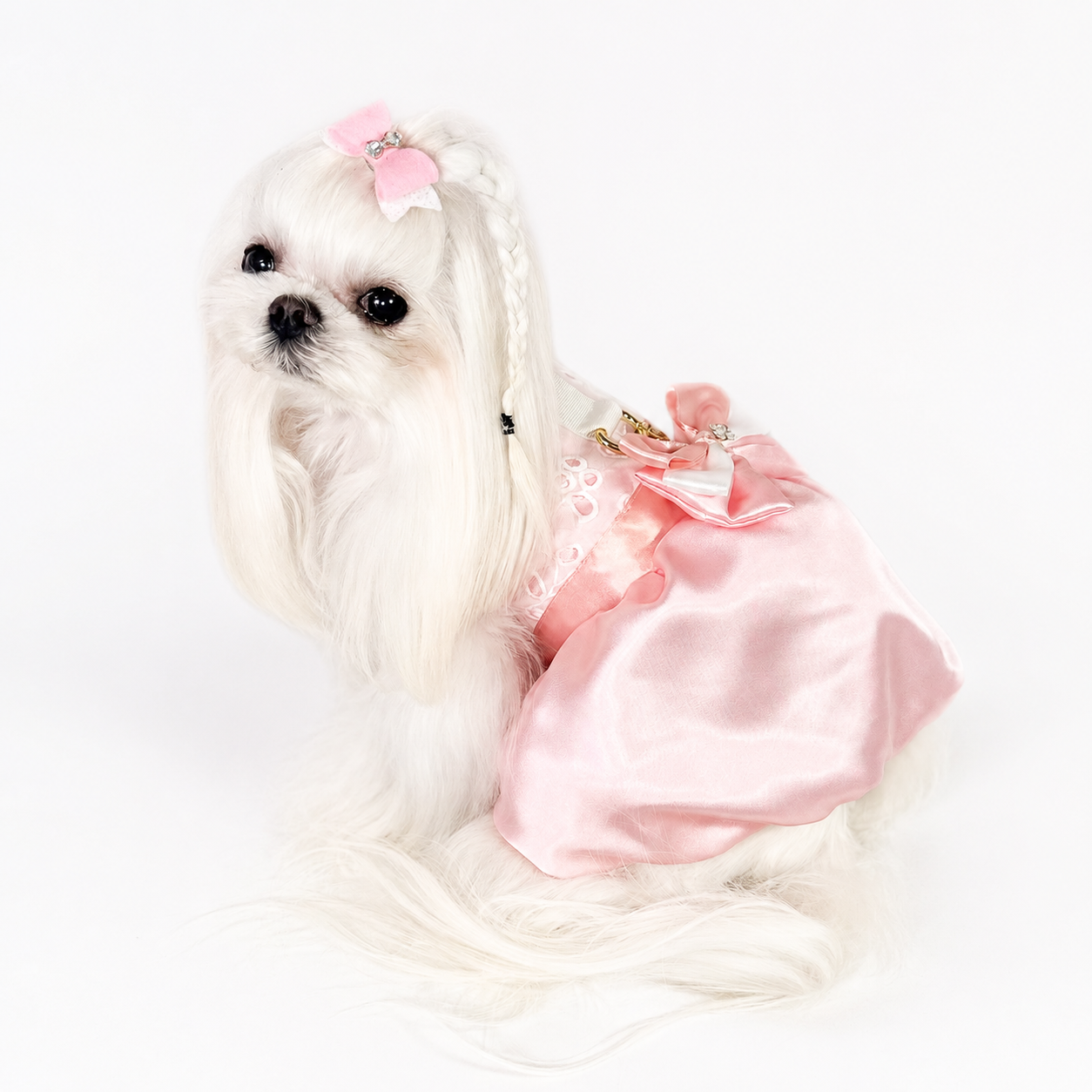 Abito couture Aurora per cani piccoli con organza ricamata e raso