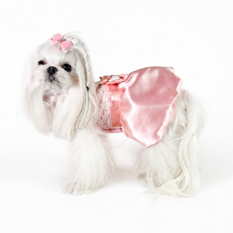 Aurora abito couture da cerimonia in organza e raso per cani piccoli