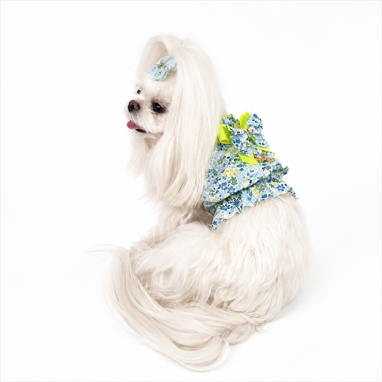 Cane piccolo con camicina Provenza floreale in cotone