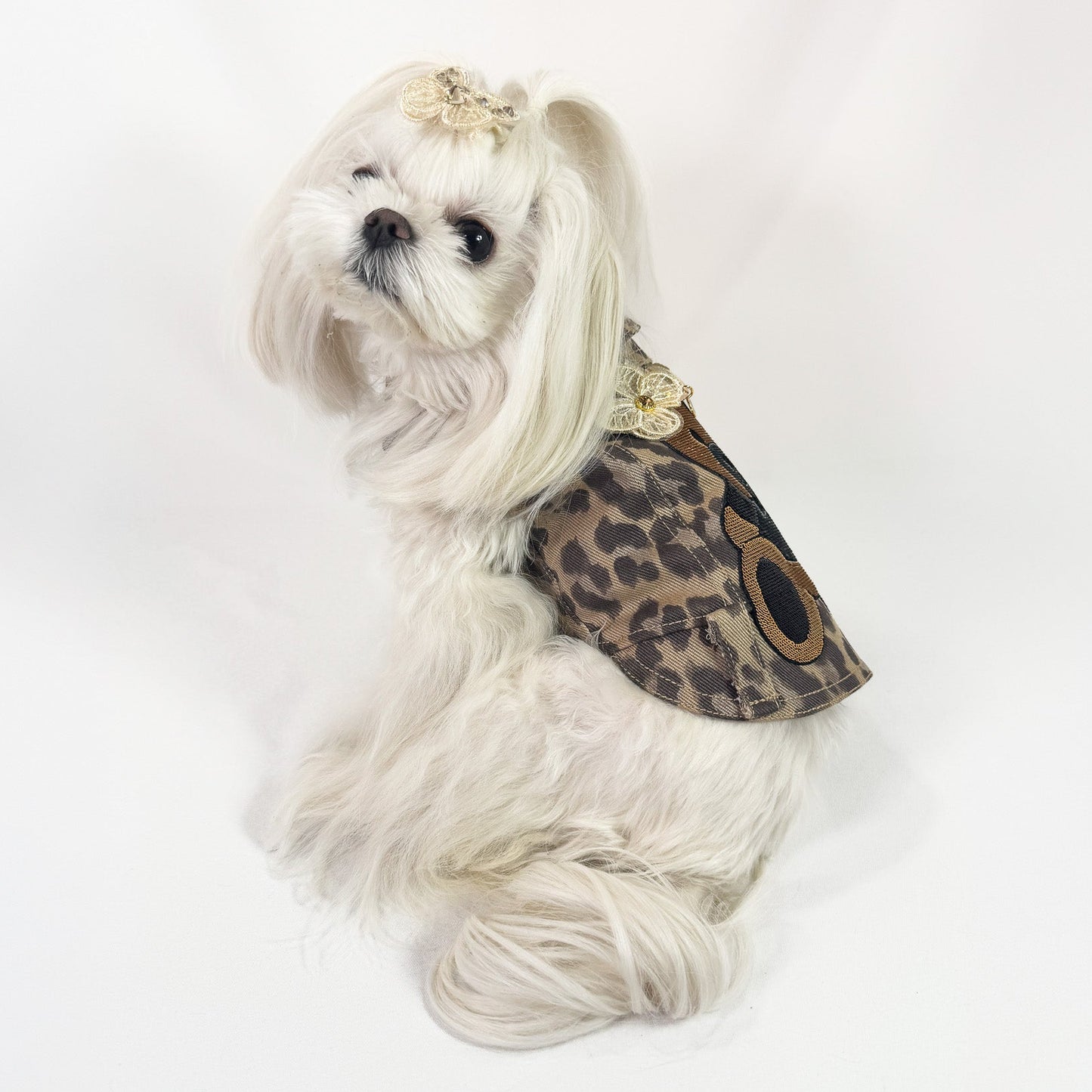 Baujeans couture Savana per cane di piccola taglia in tessuto maculato con decorazioni personalizzabili in cristalli e paillettes – Bauloveyou