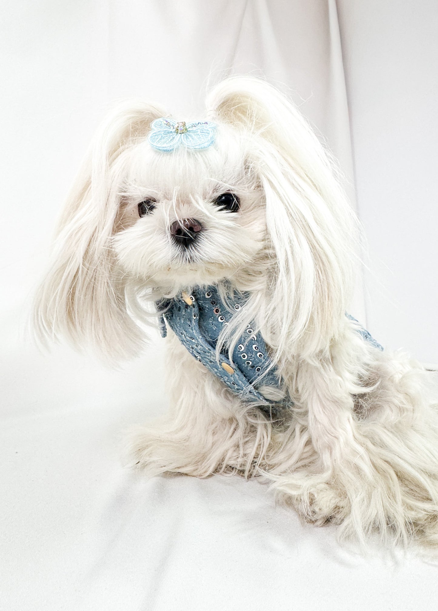 BauJeans Couture- ECLAT