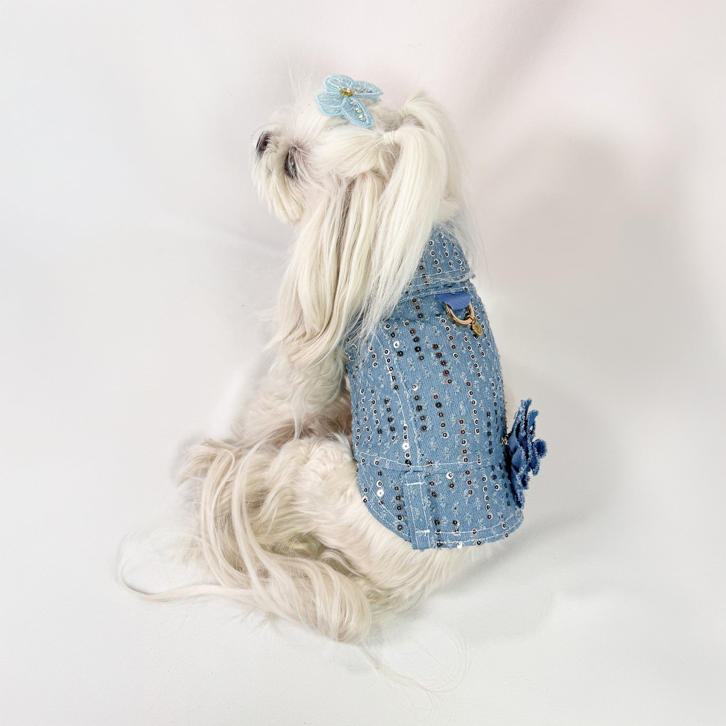 Baujeans Eclat denim paillettes con guinzaglio coordinato per cani piccoli