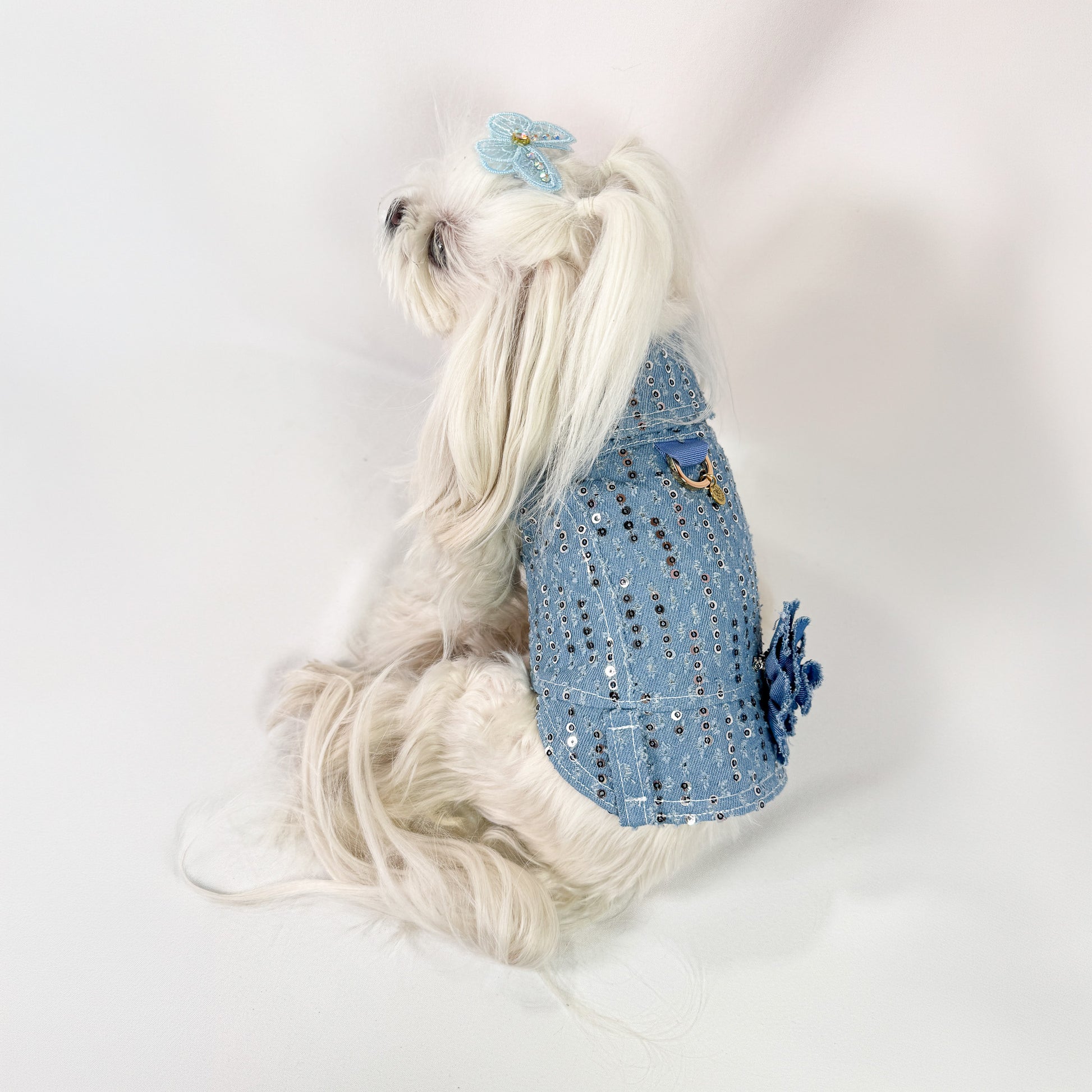 Baujeans Eclat denim paillettes con guinzaglio coordinato per cani piccoli