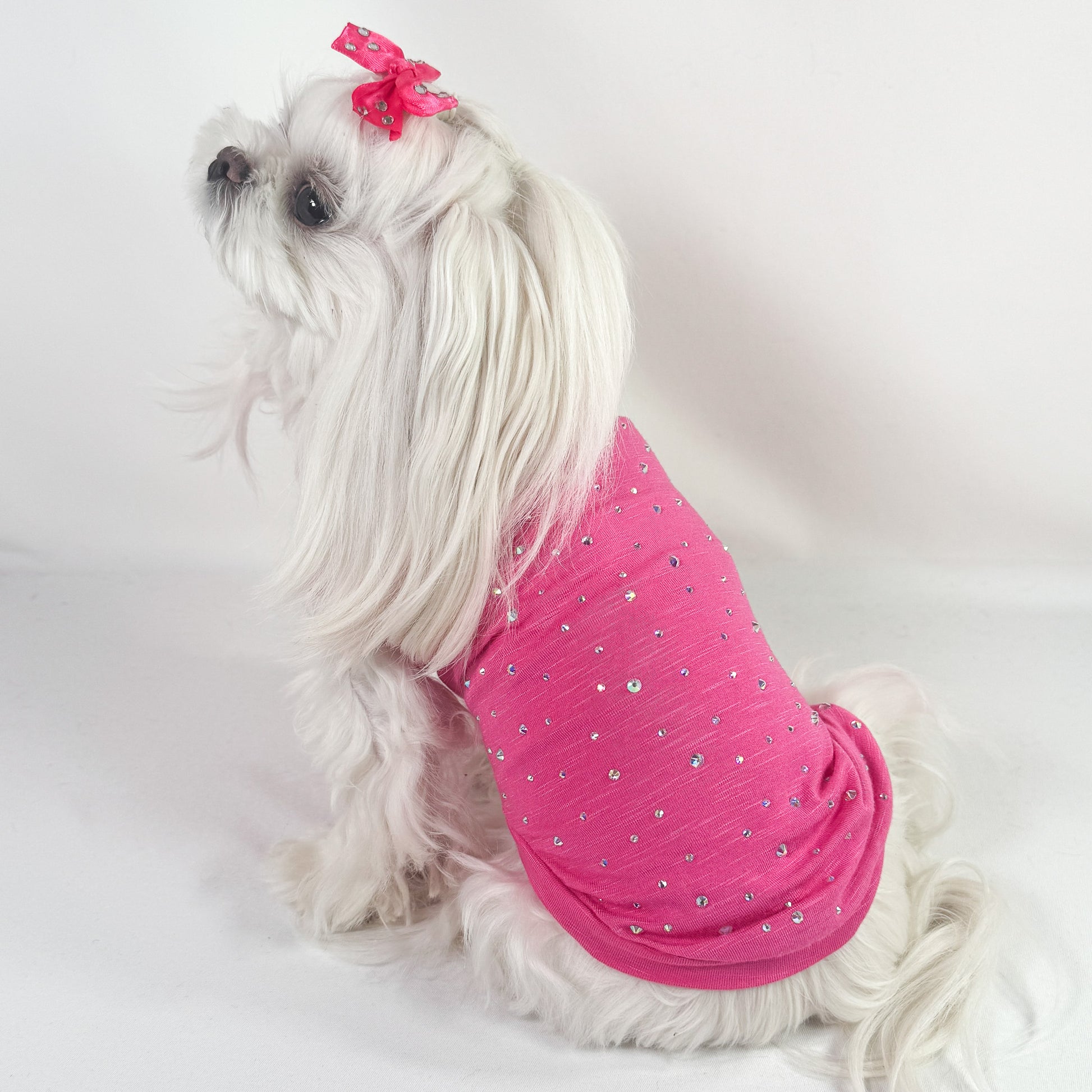 T-shirt Starlight in misto stretch con fiocco in raso e cristalli aurora boreale per cani piccoli