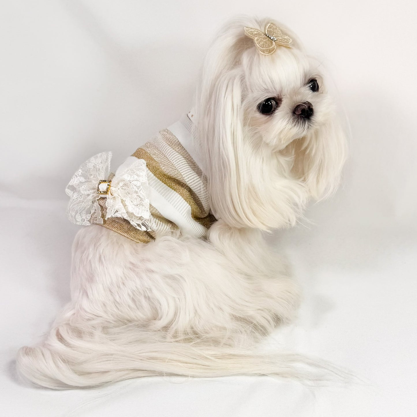 Felpina Nina per Cani Piccoli – Cotone Rigato con Lurex