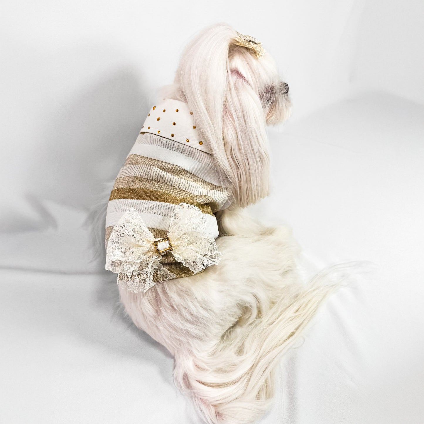 Felpina Nina per Cani Piccoli – Cotone Rigato con Lurex