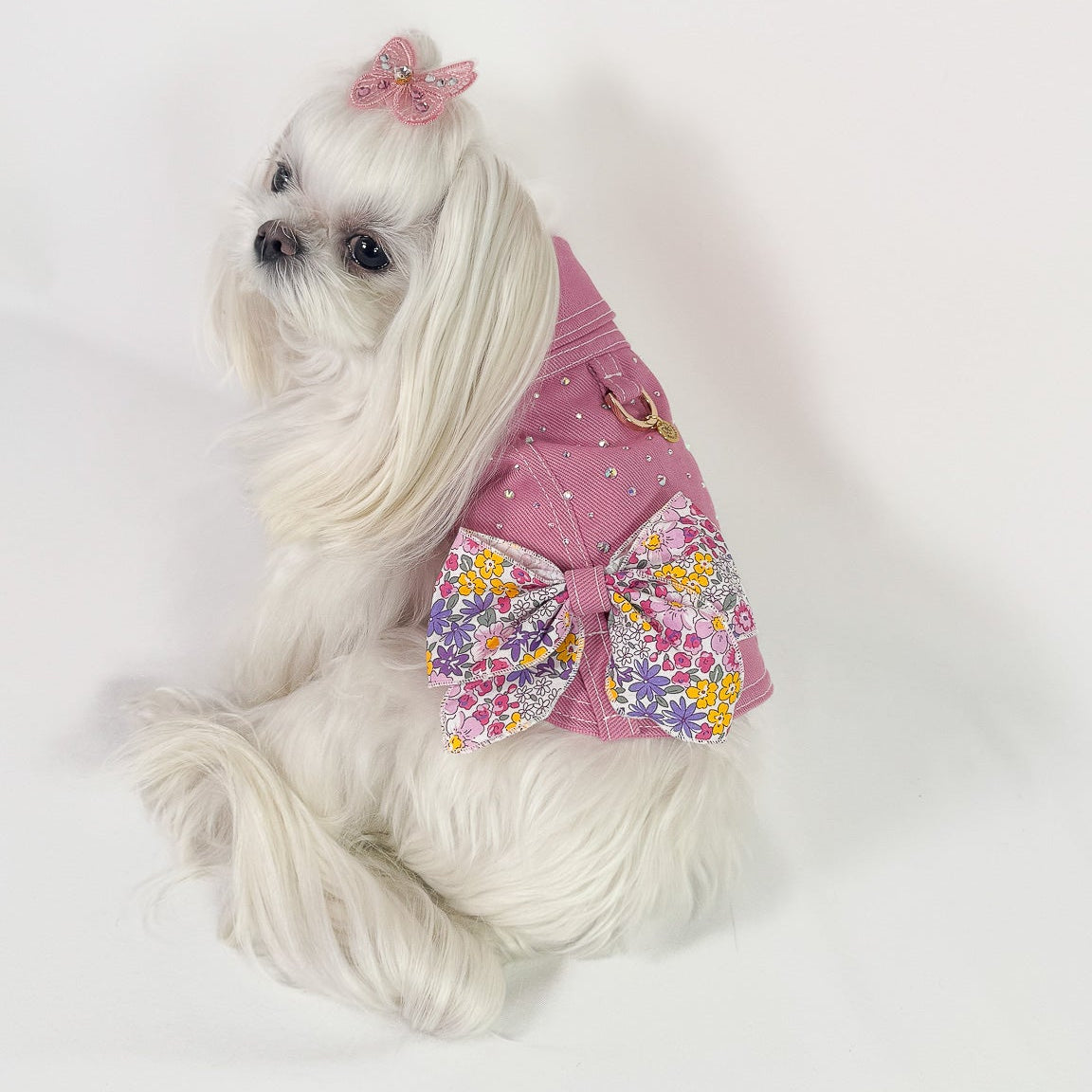 BauJeans Couture Stardust in denim su cane di piccola taglia con guinzaglio abbinato