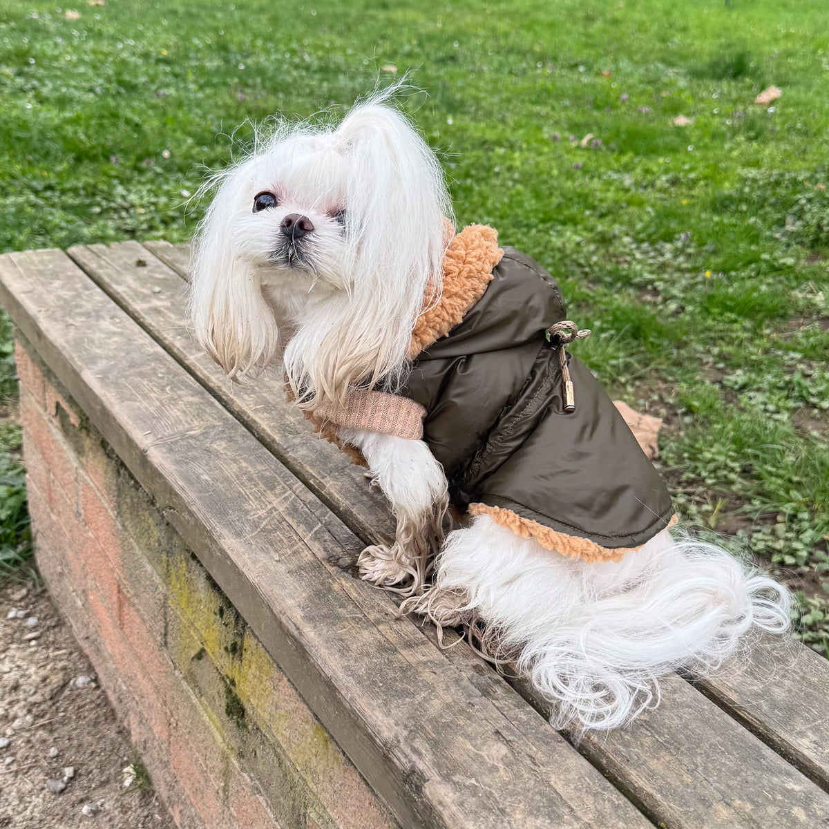 Parka verde oliva su maltese