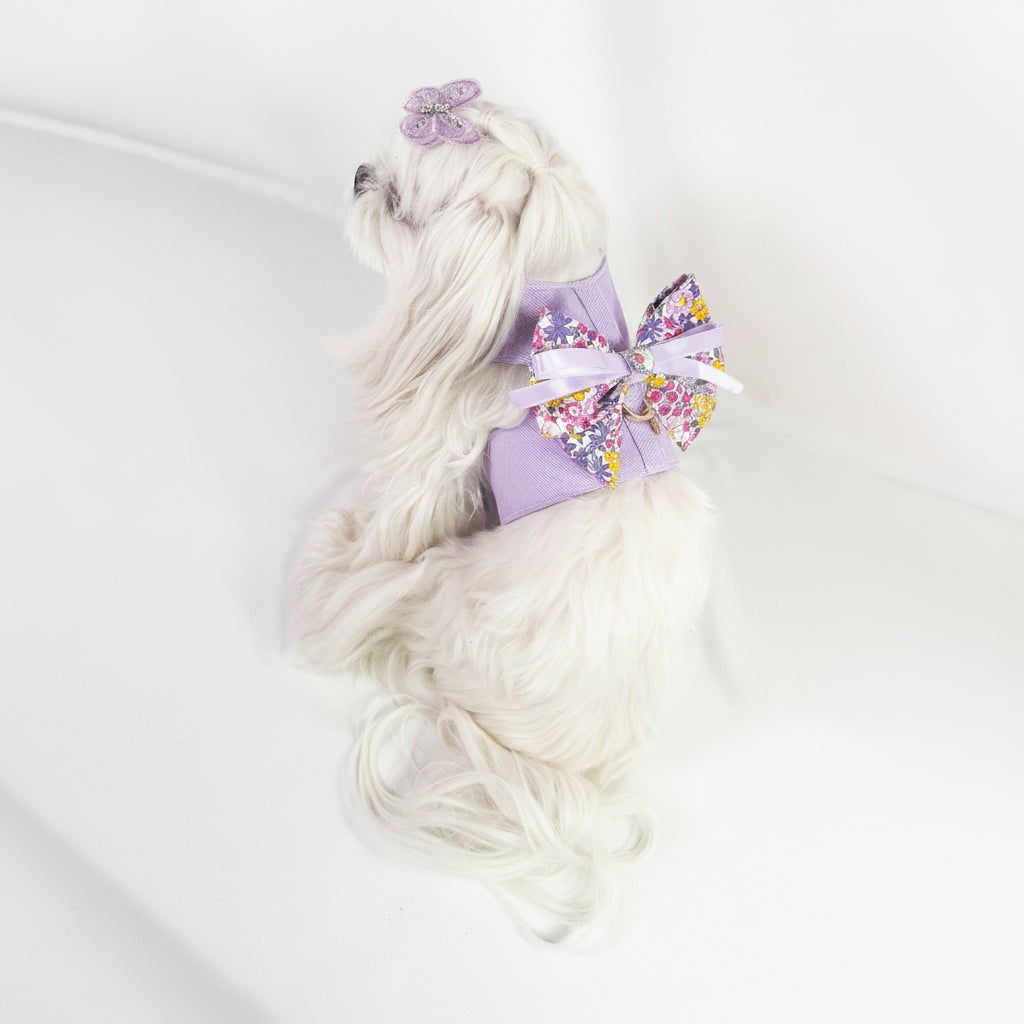 Brassiere Melody lilla in denim su cane di piccola taglia 