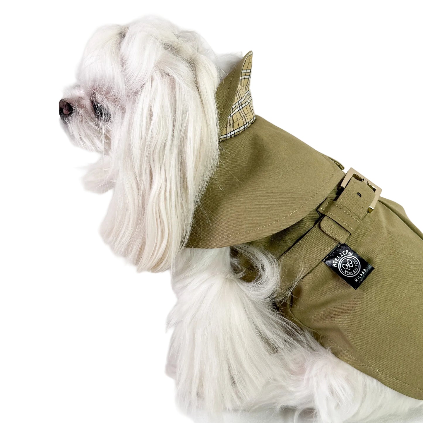 Trench Elan kaki in cotone impermeabile per cani piccoli indossato con cintura