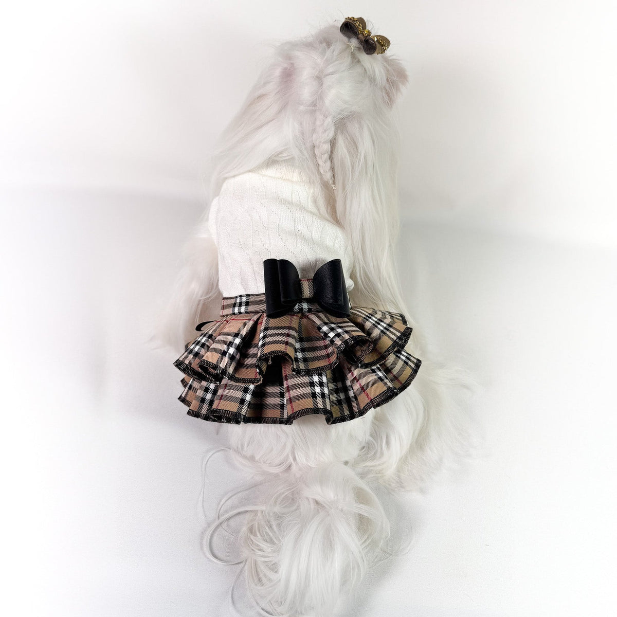 Maltese con l'Abito Brit con gonna scozzese cammello