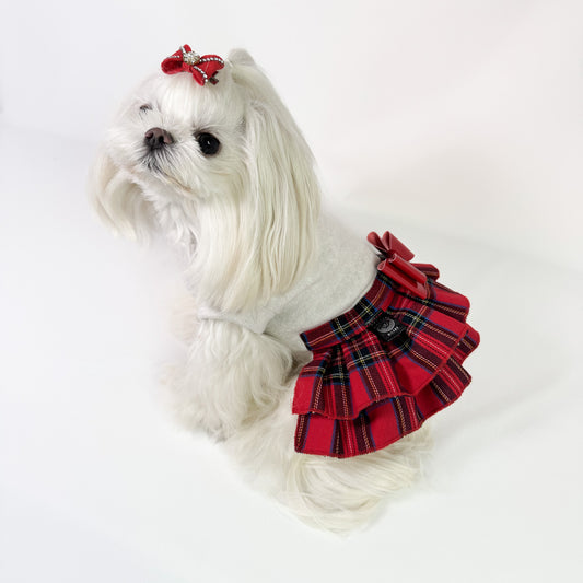 Maltese con l'Abito Chris e la gonna scozzese rossa