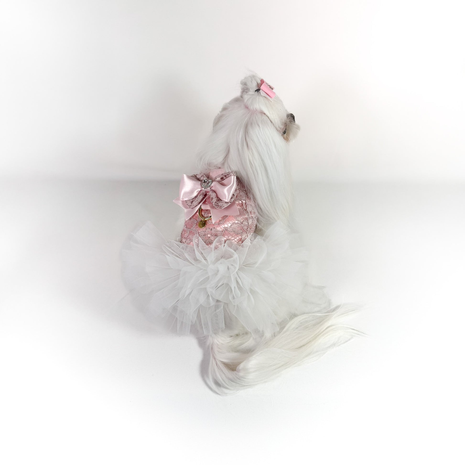 Dettaglio pizzo e tulle della pettorina Rosa couture per cani piccoli