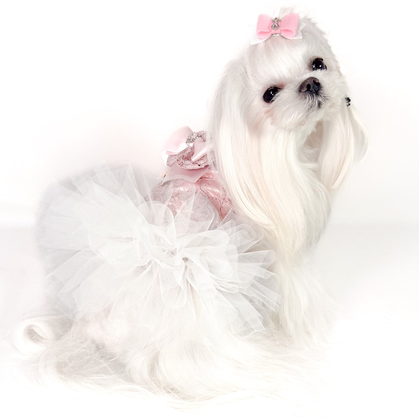 Pettorina Rosa Bauloveyou in pizzo e tulle rosa per cani piccoli, dettaglio laterale