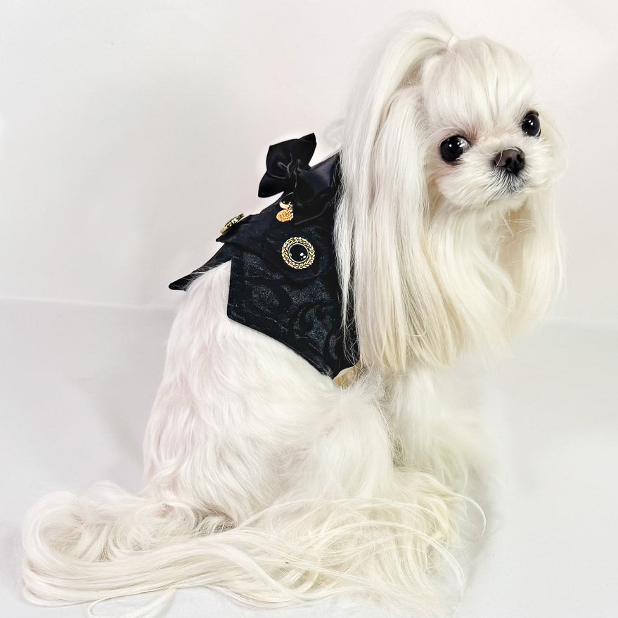 Leonardo pettorina smoking corta per cani piccoli in jacquard nero lurex