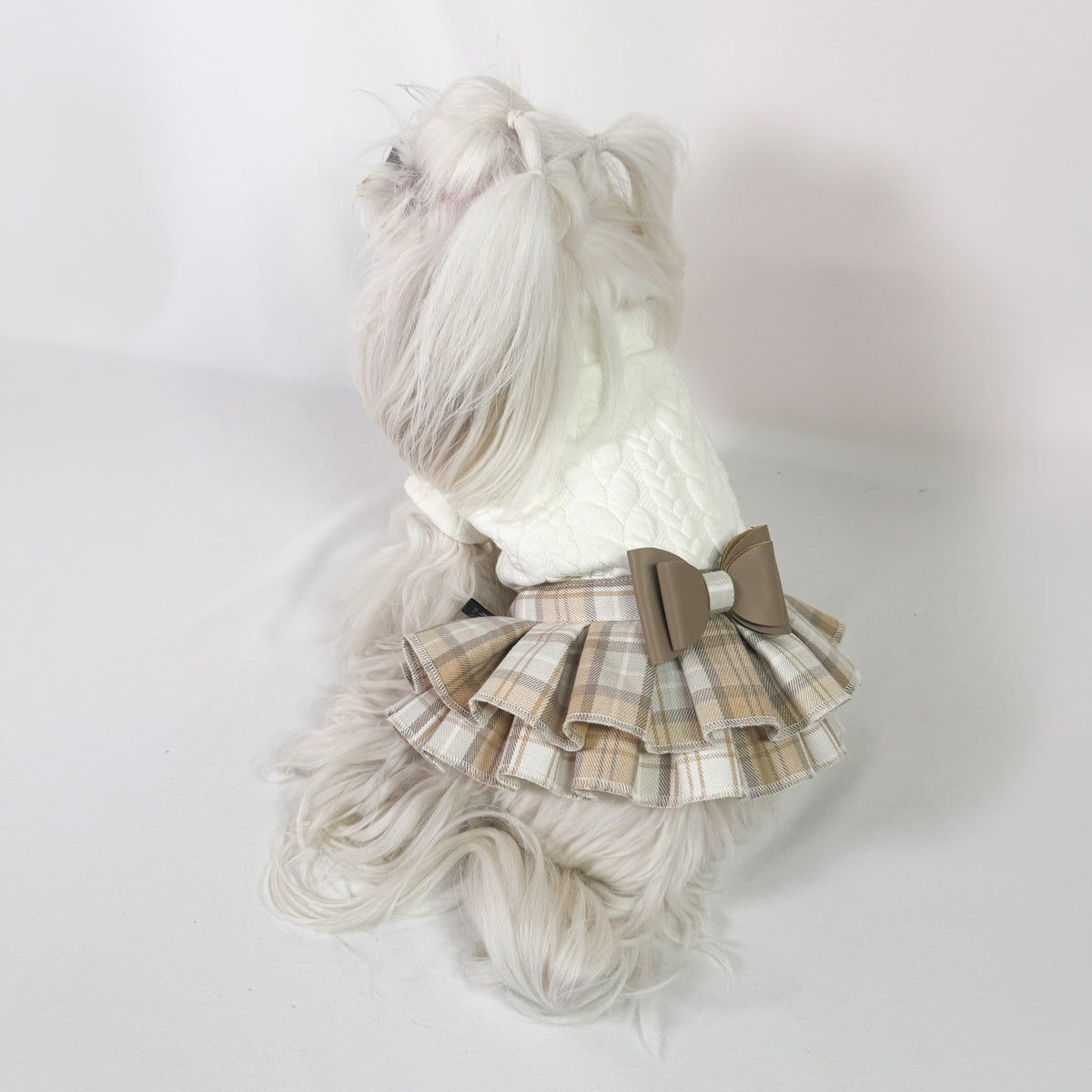 Felpa Agnese indossata da Piumetta, cagnolina maltese: felpa panna a trecce con gonna scozzese beige plissettata e fiocco in ecopelle, vista di spalle