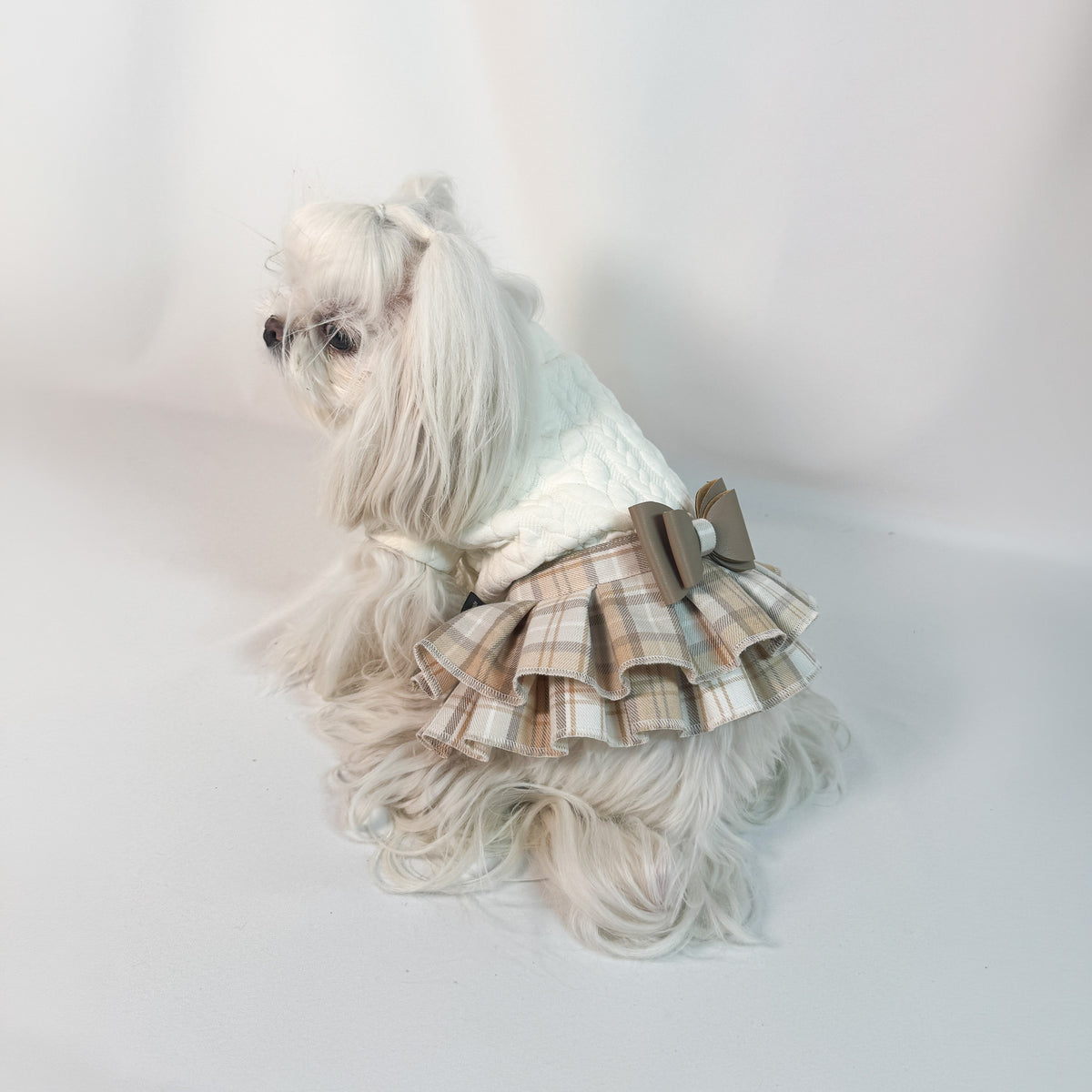 Felpa Agnese indossata da Piumetta, cagnolina maltese: felpa panna a trecce, gonna scozzese beige a pieghe e fiocco in ecopelle, vista di tre quarti