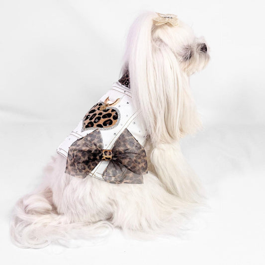 BauJeans Couture Selvaggia indossato da cane maltese con fiocco leopardato removibile