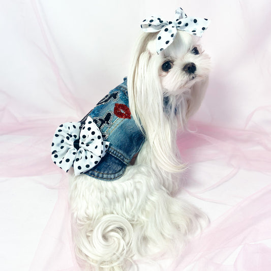 Maltese con fiocco a pois indossa il BauJeans Perfect