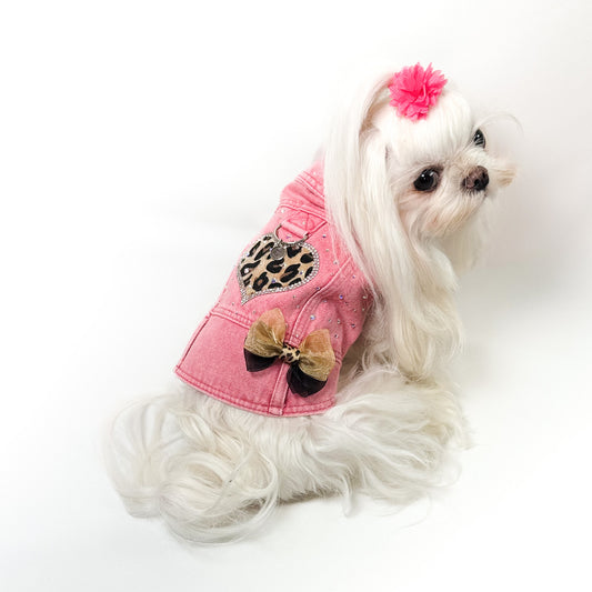 Maltese con fiocco rosa indossa il BauJeans Pinky, vista di tre quarti