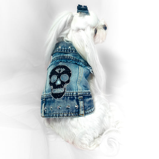 Maltese indossa il BauJeans Skull blu, vista di profilo