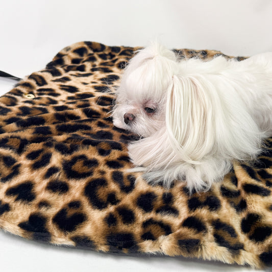 Lounge Bag nera trapuntata aperta come tappetino in pelliccia leopardata con maltese