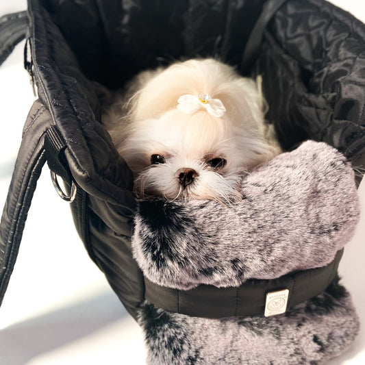 Maltese nella Borsa Puff Bag, sul cuscino in pelouche grigio