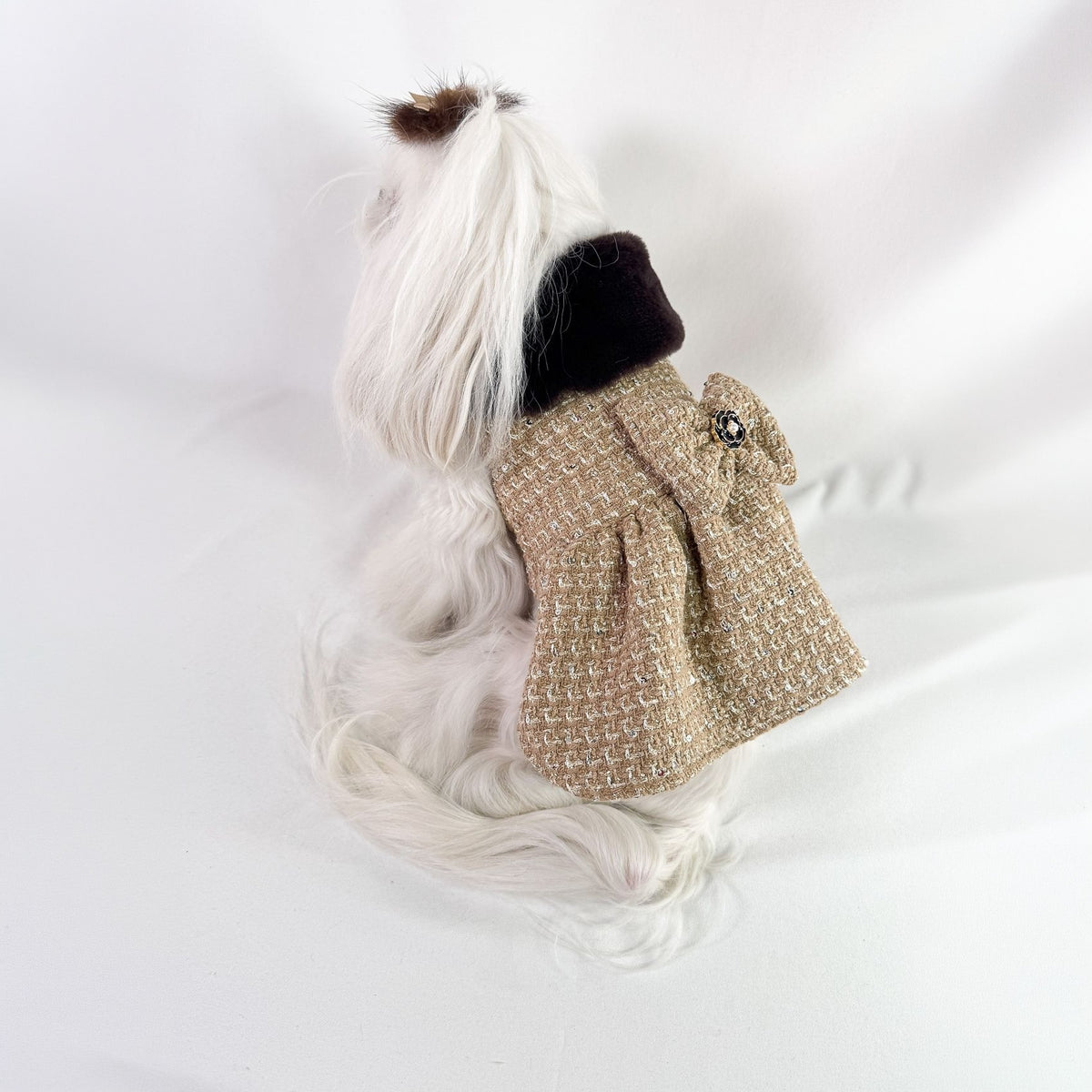 Cappottino Ambra per cani piccoli in tweed bouclé cammello, con collo in peluche testa di moro e fiocco sul dorso, indossato da una maltese vista da dietro
