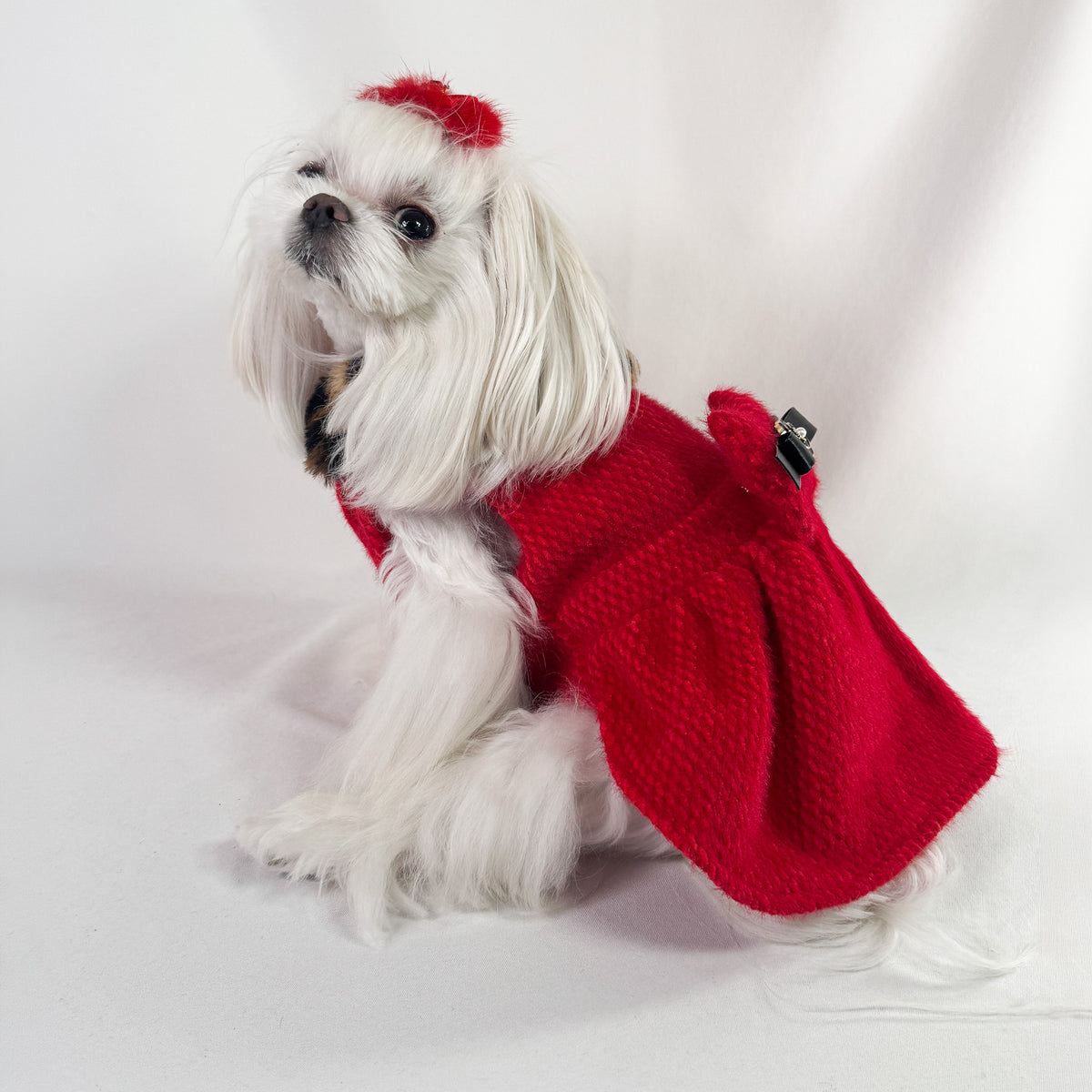 Maltese seduto con il Cappottino Ruby in panno rosso jacquard, visto di lato con la gonna arricciata